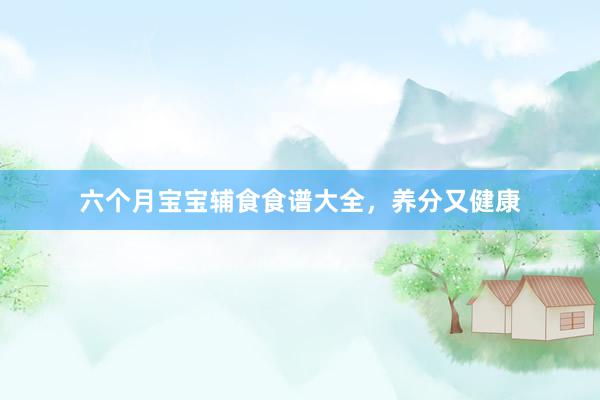 六个月宝宝辅食食谱大全，养分又健康