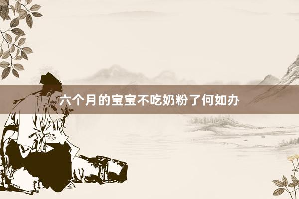 六个月的宝宝不吃奶粉了何如办