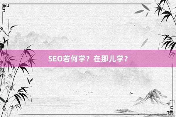 SEO若何学？在那儿学？